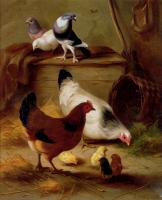 Edgar Hunt - Pigeons And Chickens